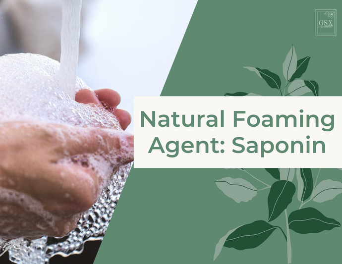Natural Foaming Agent: Saponin