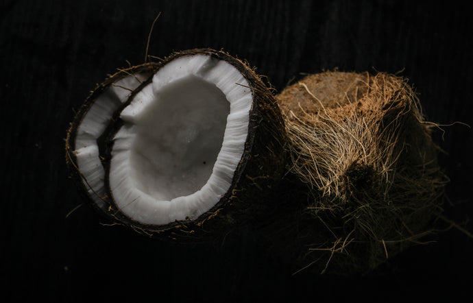 Coconut Oil vs. Camellia Oil: Which is Healthier?
